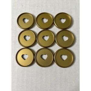 Happy Planner Discs Gold color plastic 9 pieces Classic Planner size